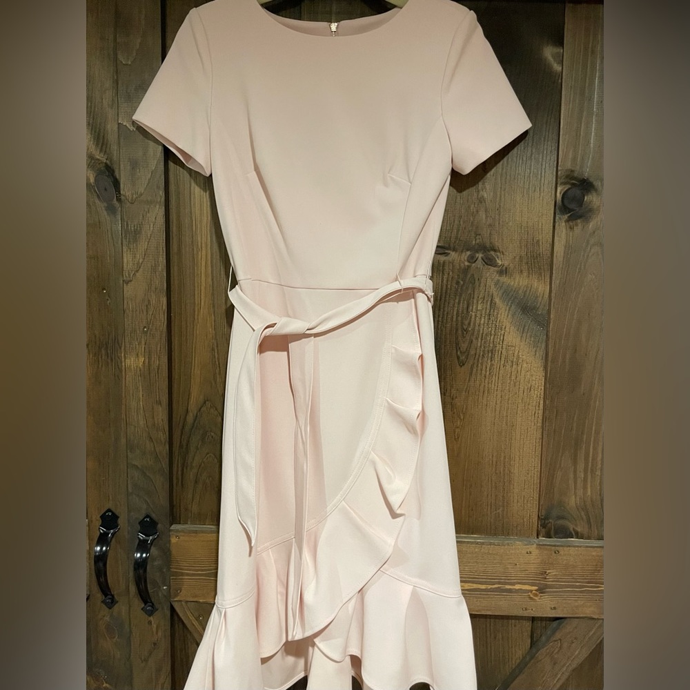 New Without Tags, Light Pink Calvin Klein Size 2 Dress